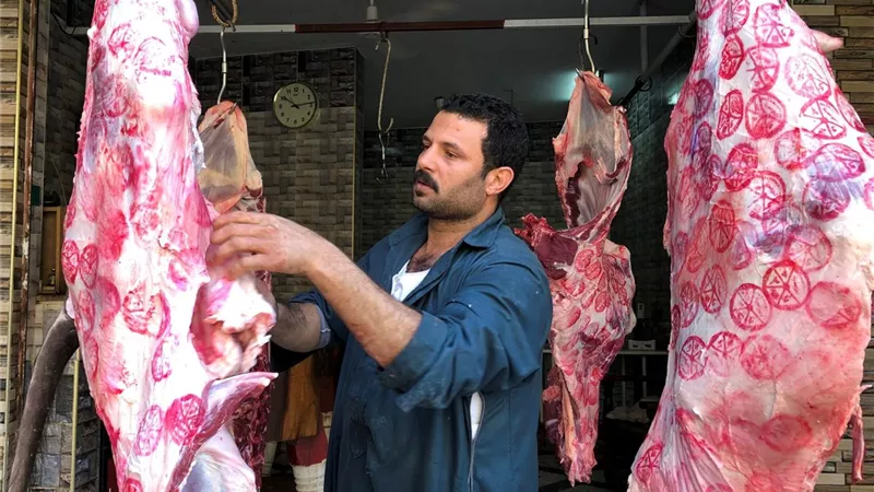 صدمة.. نقيب الفلاحين يكشف سبب بيع كيلو اللحم بسعر 280 جنيهًا في القرى