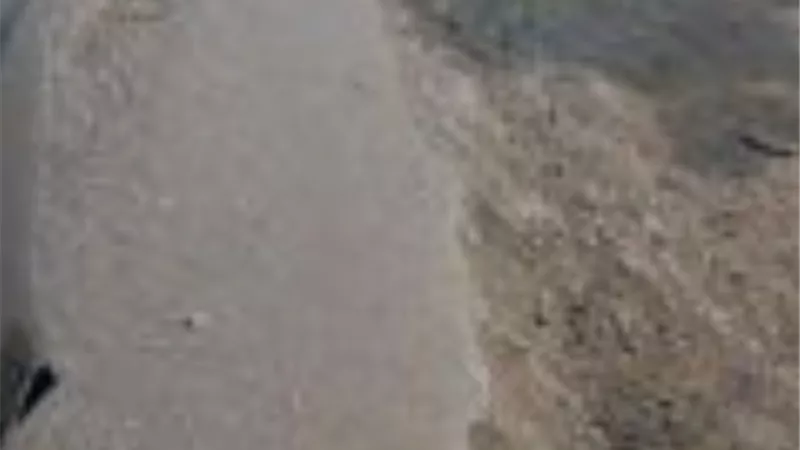 طريق «شوني».. شريان الغلابة العالق بين الوعود والإهمال