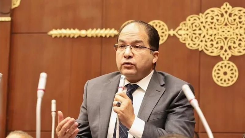 عضو مجلس الشيوخ: مصر تقف حائط صد أمام تصفية القضية الفلسطينية