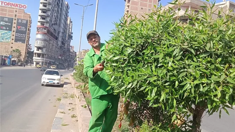 الغربية تنفذ خطة شاملة للنظافة والتشجير لإعادة الوجه الحضاري لعروس الدلتا