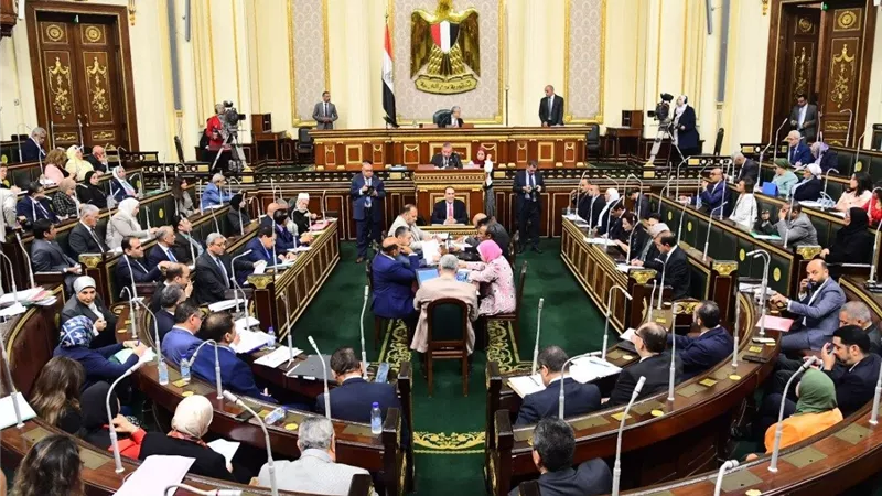 كيف أقر الدستور حق المواطنين في الانتخابات بالترشح أو التصويت