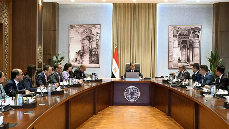 100 مليون دولار استثمارات صينية لإنشاء مصنع للطاقة الشمسية في مصر(تفاصيل)