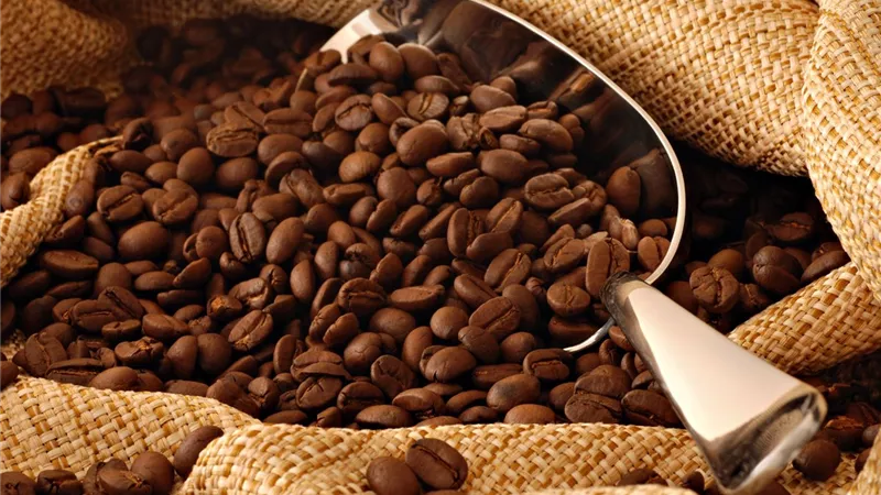 يتراوح بين 500 إلى 600 جنيه.. استقرار أسعار البن فى مصر رغم ارتفاع العالمي 50%