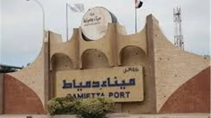  نشاط مكثف بميناء دمياط واستقبال ناقلة قمح كبرى ضمن حركة التداول