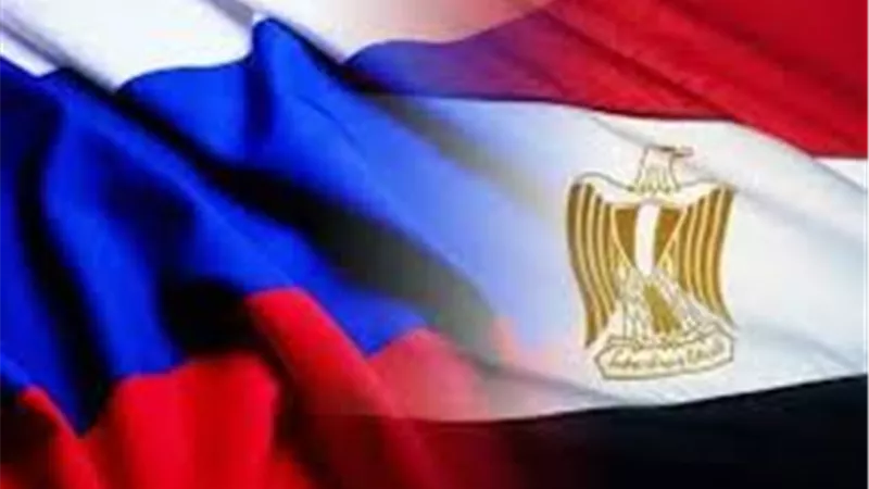 مصر المورد الأول للخضروات المجمدة في روسيا