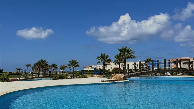 أبطال دمج المنشاه يحصدون المراكز الأولى في بطولة السباحة بسوهاج