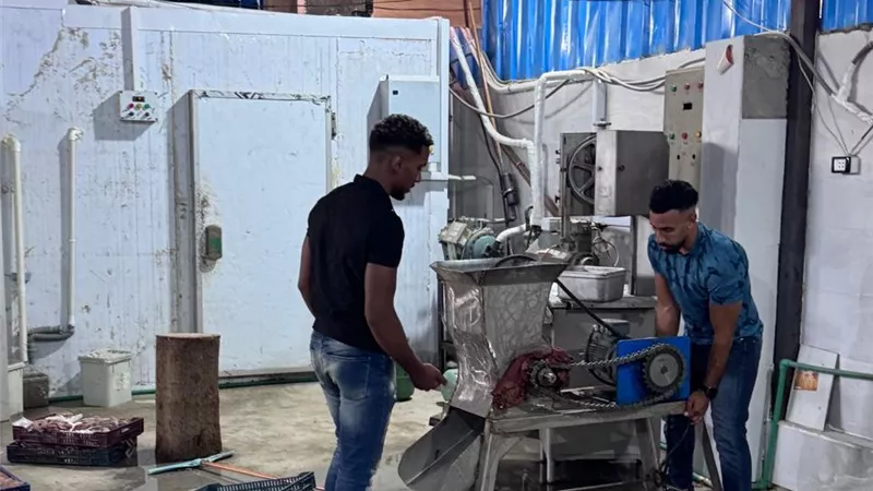 « البرجر» قاتل مرغوب.. وخطة لمنع ترويج السلع الفاسدة بأسواق الجيزة