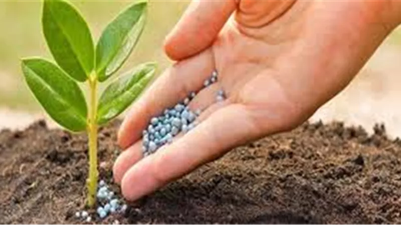 نقيب الفلاحين ضخ الوزارة لـ الأسمدة الزراعية ساهم في تراجع أسعارها 