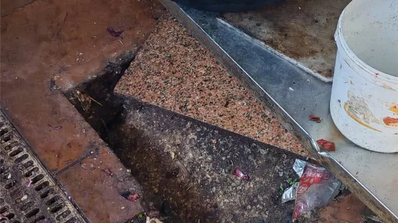 ضبط وإعدام 320 كيلوجرام أغذية فاسدة بمدينة رأس البر |صور