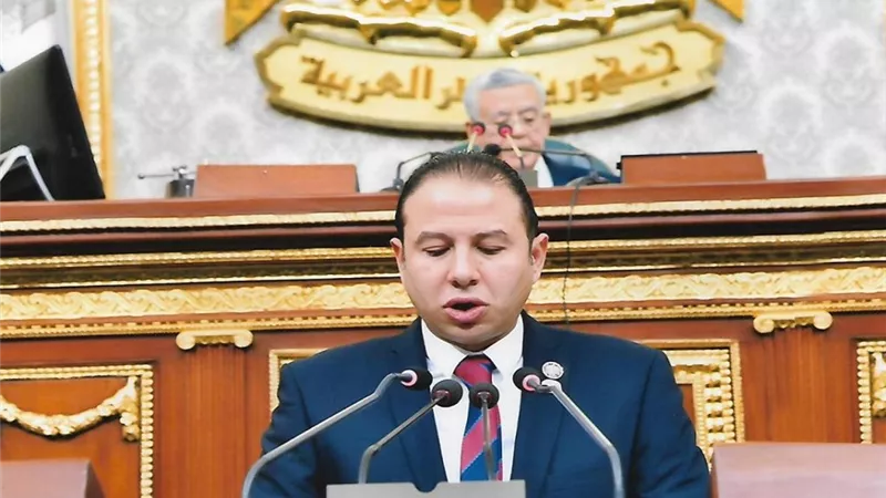 حسن عمار: الشراكة المصرية السعودية تعيد رسم خريطة البحر الأحمر