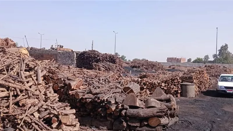 لمواجهة السحابة السوداء.. حملة مفاجئة على 150 مكمورة و44 فاخورة بالشرقية