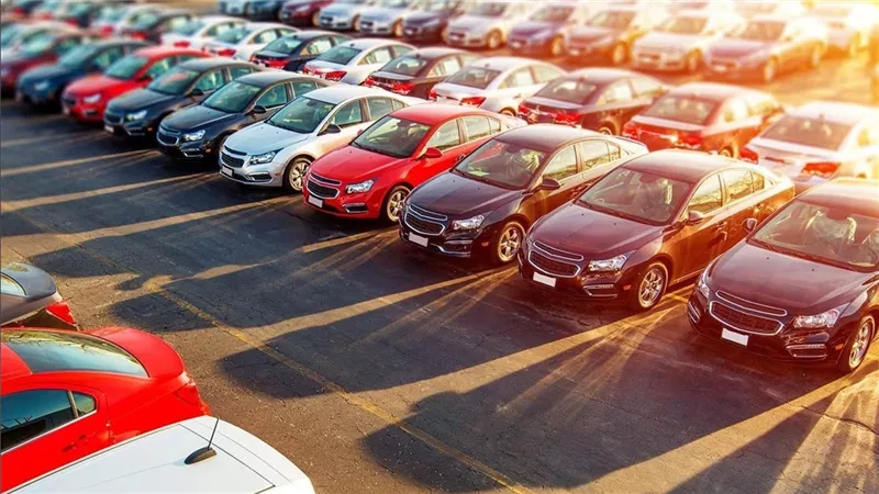 جلسة مزاد علني لبيع سيارات وبضائع جمارك الإسكندرية والسلوم غدًا