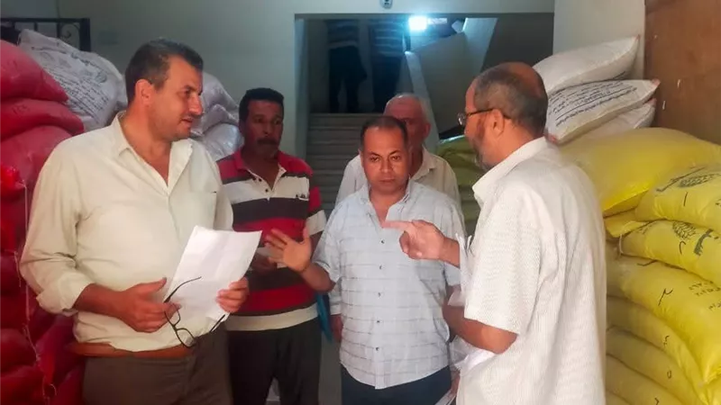 وكيل وزارة الزراعة في كفر الشيخ يتابع المحاصيل الزراعية الصيفية