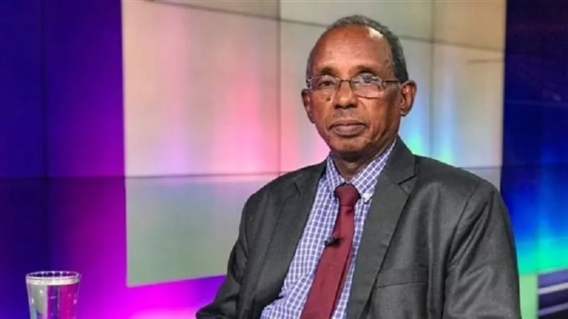 صحفى سودانى يحذر شبح «التقسيم» يهدد البلاد والجيش يحتاج إلى دعم وطنى | فيديو