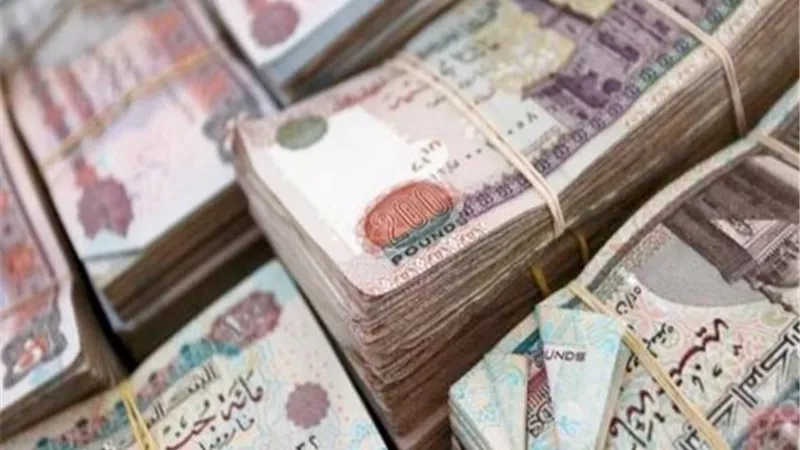 سرقة نصف مليون جنيه من شركة سجائر بأسوان| تفاصيل  