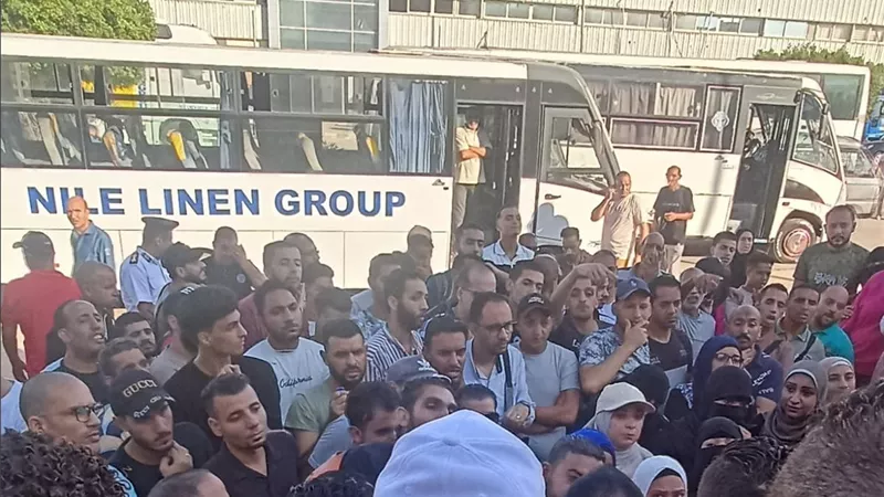 معاناة غير مسبوقة.. عمال مصنع نايل لينين بالإسكندرية يتحدثون لـ
