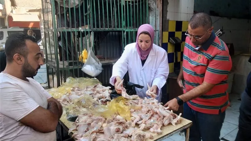 بيطري المنيا: ضبط لحوم مخالفة غير صالحة خلال حملات تفتيشية 