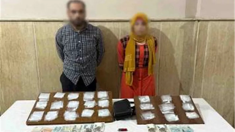 بسبب الألفاظ الخادشة للحياء.. القبض على صانعة محتوى وزوجها بكفر الشيخ 
