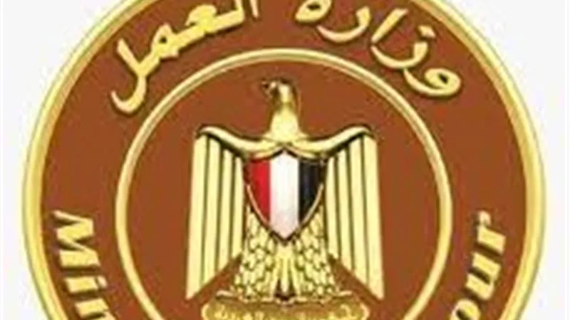 46 فرصة عمل جديدة لذوي الهمم في الجيزة