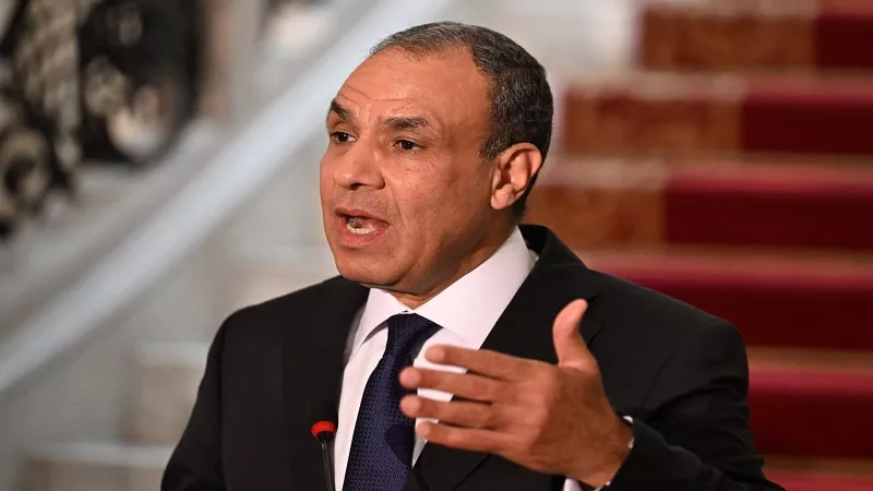 وزير الخارجية: سفاراتنا مسئولة عن حقوق 14 مليون مصري بالخارج| فيديو