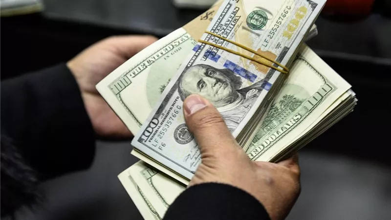 تحويلات المصريين بالخارج.. قفزة تاريخية تُعيد صياغة المشهد الاقتصادي