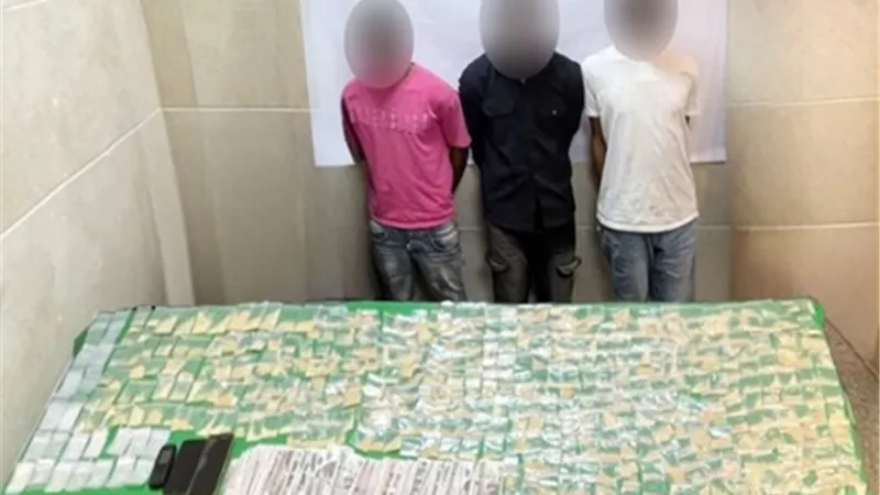 «الداخلية» تضبط 3 عناصر لغسل 30 مليون جنيه متحصلة من تجارة المخدرات