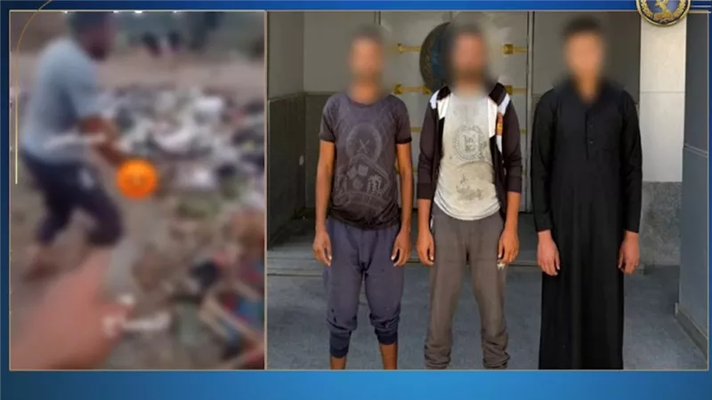 القبض على 3 أشخاص اعتدوا على كلب بالضرب في الدقهلية