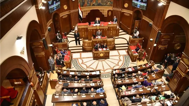 أبرزها العلاقات الدولية.. اختصاصات لجنة الشئون الخارجية والعربية بالشيوخ 