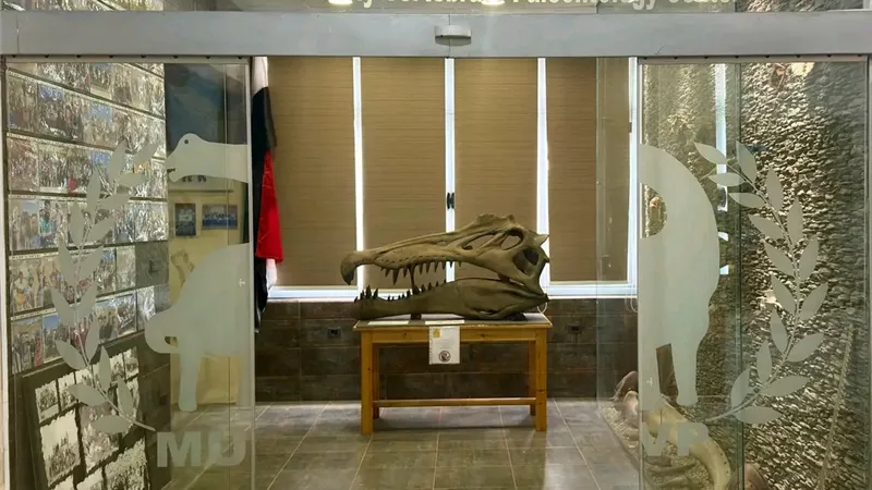 اكتشاف تمساح بحري عمره 80 مليون سنة بالصحراء الغربية 