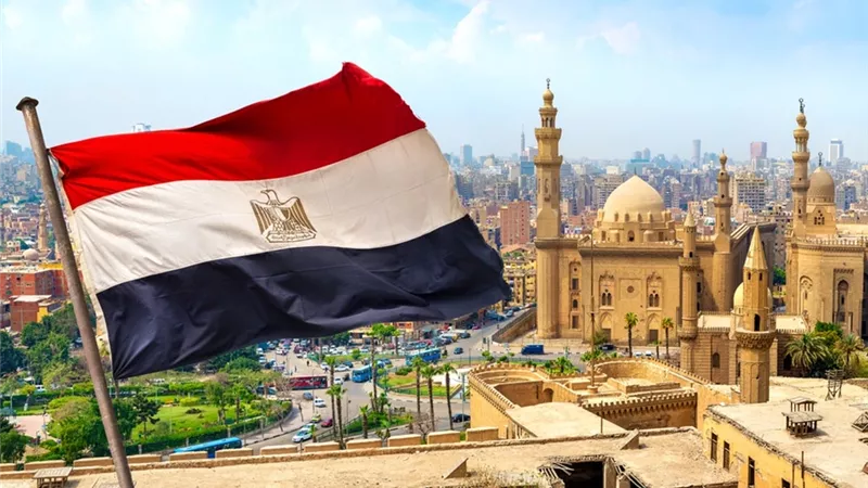 قريبا.. «الاستثمار» تطلق بوابة موحدة للمستثمرين الأجانب بجميع اللغات