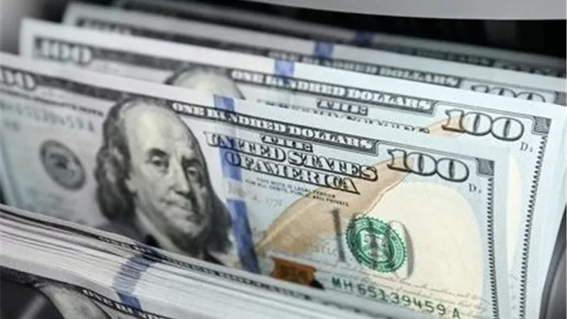 أسعار الدولار اليوم في البنوك المصرية.. استقرار نسبي