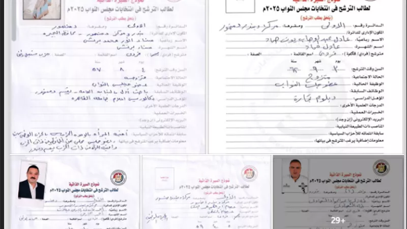 «دبلوم صنايع».. أهالي دمنهور يرفضون مرشحيهم لمجلس النواب 2025 |صور