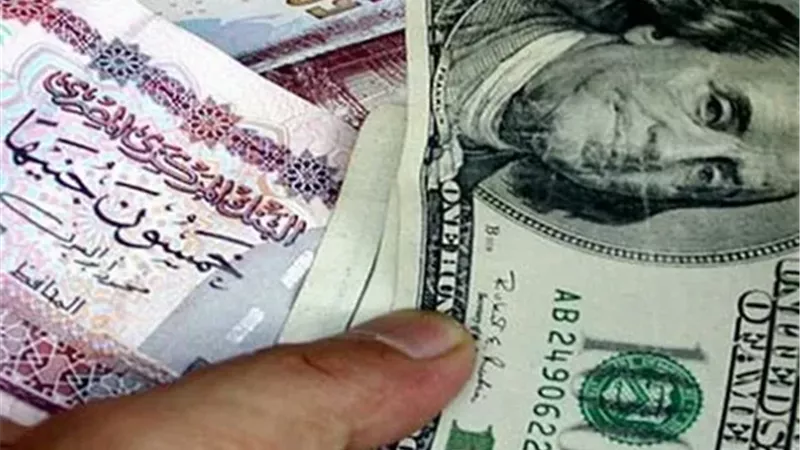 الدولار يحافظ على مستواه عند 47.5 جنيه بالبنوك المصرية