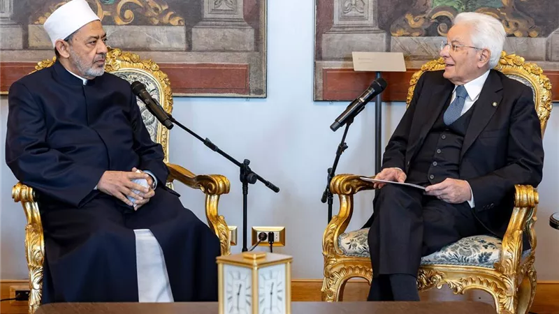 شيخ الأزهر: نقدر موقف الشعب الإيطالي من العدوان على غزة