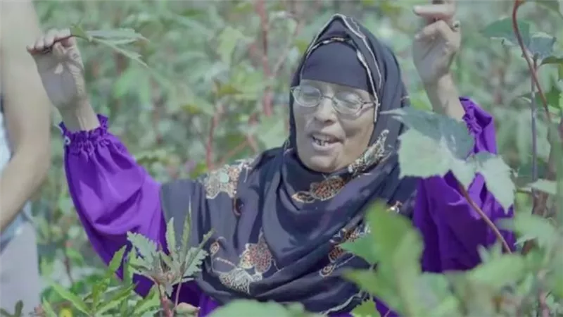 أصوات خرجت من الحقول.. حكايات نساء غنين بموهبة فطرية|خاص