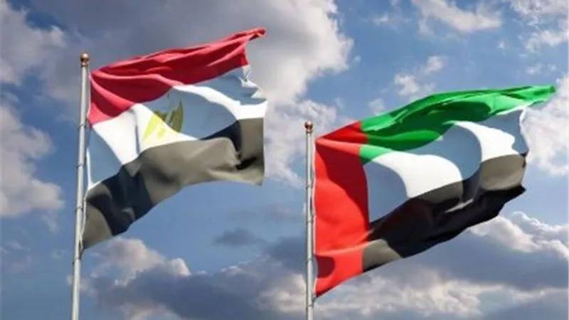 ارتفاع صادرات الحاصلات الزراعية المصرية للكويت إلى 228 مليون دولار 