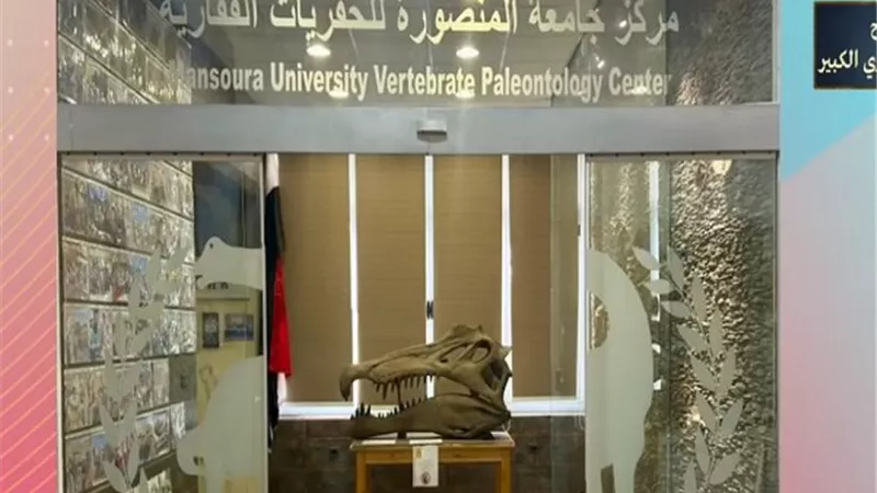 العثور على هيكل تمساح ضخم من فصيلة الديناصورات بالصحراء الغربية