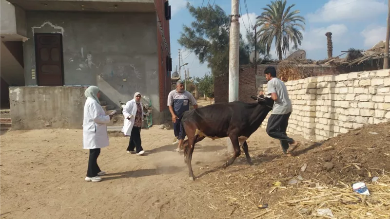قوافل جامعة قناة السويس تنطلق إلى قرية أم عزام بمركز القصاصين بالإسماعيلية