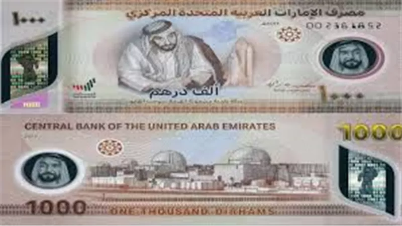 استقرار سعر الدرهم الإماراتي أمام الجنيه في ختام تعاملات الإثنين 3 نوفمبر 2025