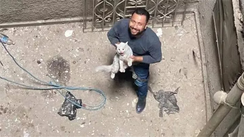 بعد إنقاذ قطة محبوسة.. الجنة جزاء الرفق بالحيوان في الإسلام