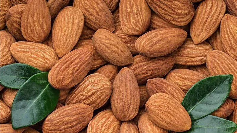 فوائد اللوز كثيرة.. والإفراط في تناوله يهدد الصحة 