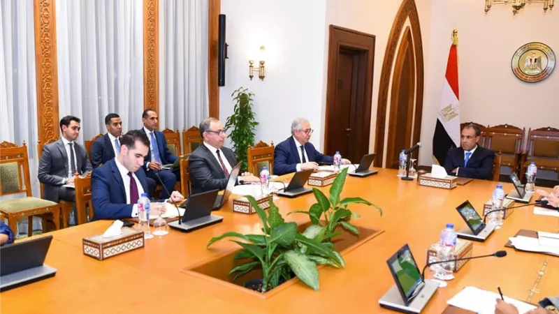 وزير الخارجية يشدد على ضرورة تنفيذ مخرجات قمة الكوميسا