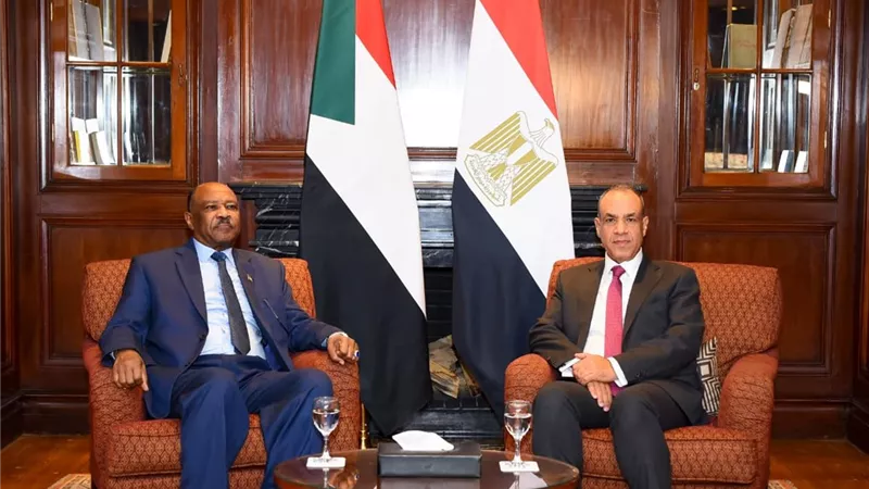 بعد أحداث «الفاشر».. وزير الخارجية لنظيره السوداني: مصر متمسكة بوحدة السودان