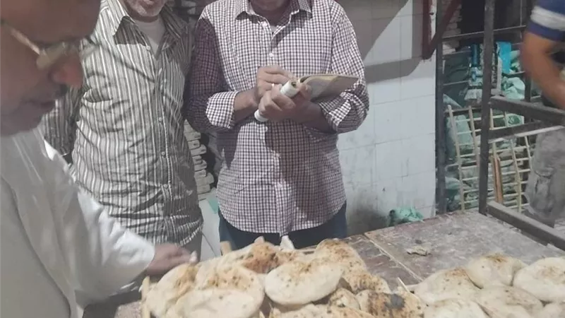 من رغيف ناقص الوزن إلى أغذية فاسدة.. ضبط 249 مخالفة خلال حملات رقابية بالمنيا