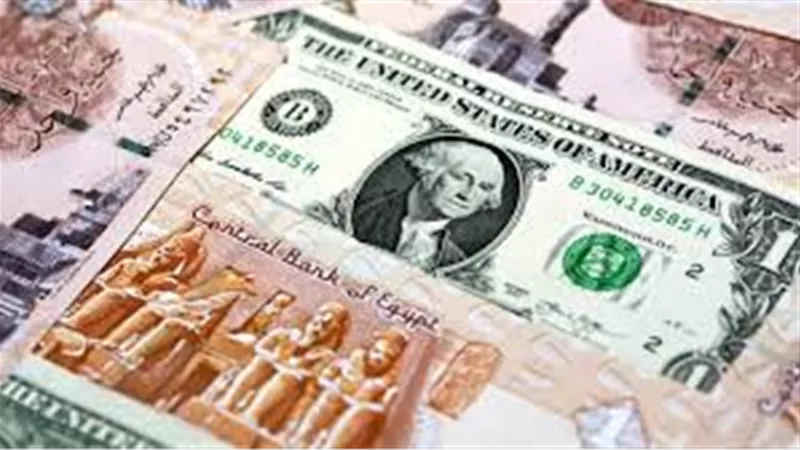 آخر تحديث.. سعر الدولار مقابل الجنيه المصري اليوم الأربعاء 29 أكتوبر 2025