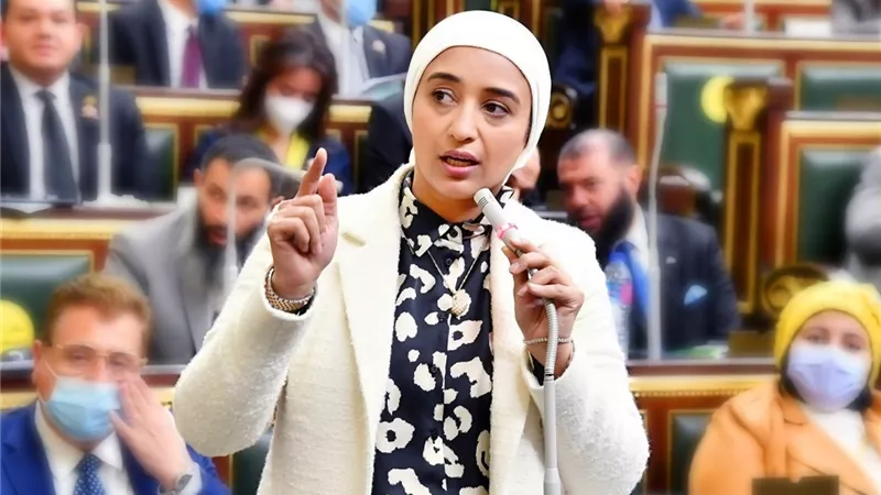 أميرة أبوشقة توجه تساؤلات للحكومة حول ملفات اقتصادية واجتماعية تمس الأمن القومي