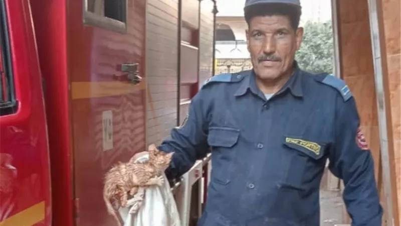 قطة تهز مشاعر أهالي ميت عساس.. وعملية إنقاذ بطولية من الحماية المدنية بالغربية