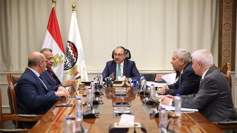 تأمين سوق بنج الأسنان محور لقاء وزير قطاع الأعمال مع نقيب أطباء الأسنان