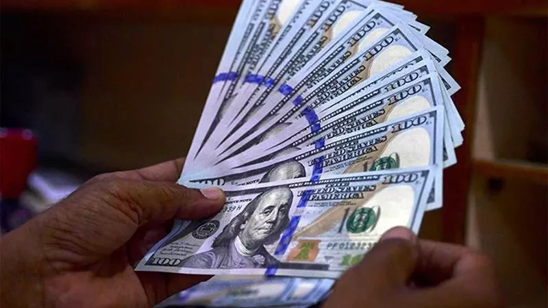 سعر الدولار اليوم في مصر.. هل يستمر الثبات؟