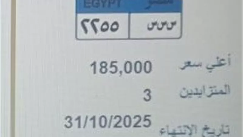 لوحة معدنية مميزة في مزاد المرور.. رقم «س س س 2255» بسعر مذهل